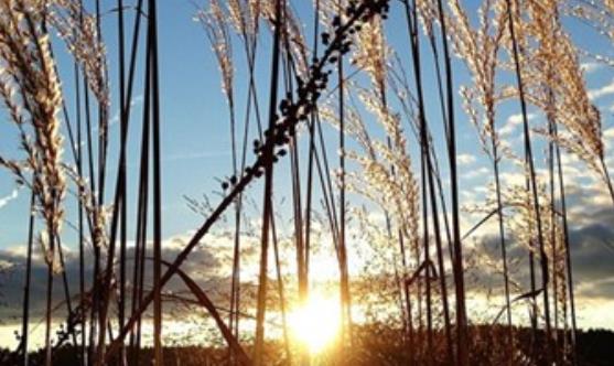 分手后温暖的句子文案