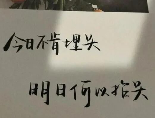 努力工作的文案