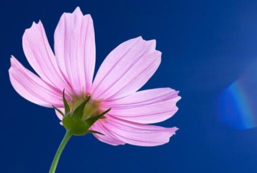 早安正能量暖心句子文案