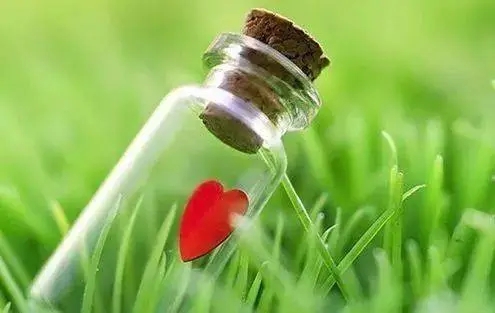 生活感悟简短语句文案