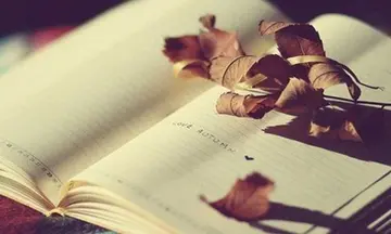 名著名句文案摘抄