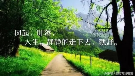 名人名言加赏析加感悟