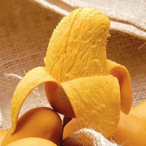 吃芒果的幽默句子文案