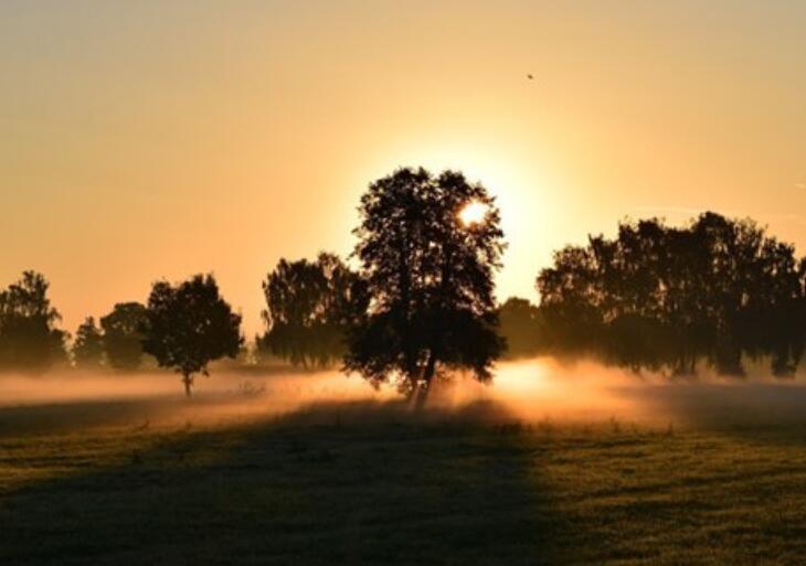 女人苦累的句子文案