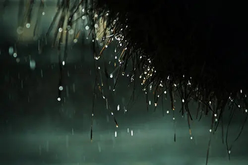 含有雨的诗句文案有哪些