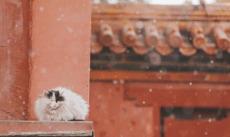 形容大雪的语录文案