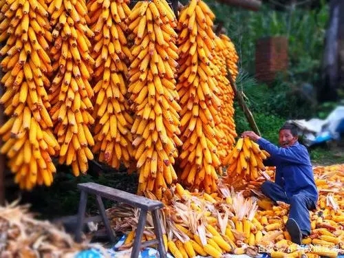 形容人民勤劳朴实的句子文案