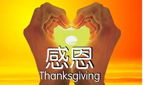 感谢领导和同事的感言