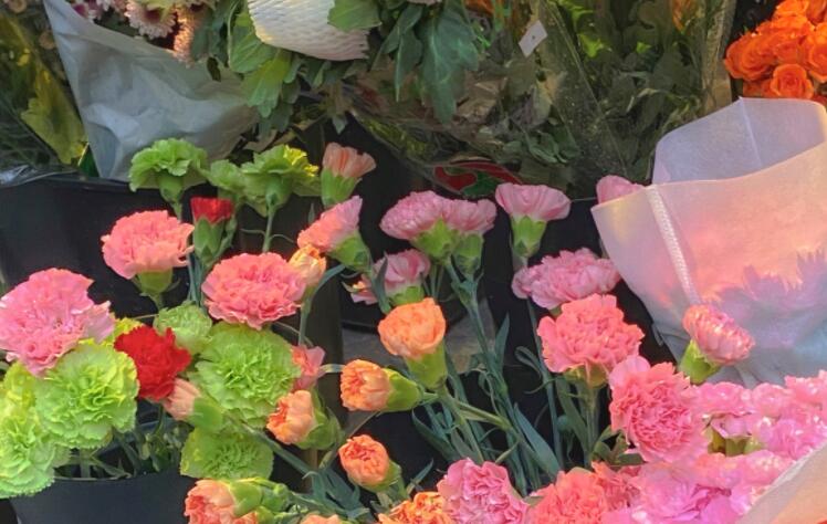 睡前发朋友圈的文案