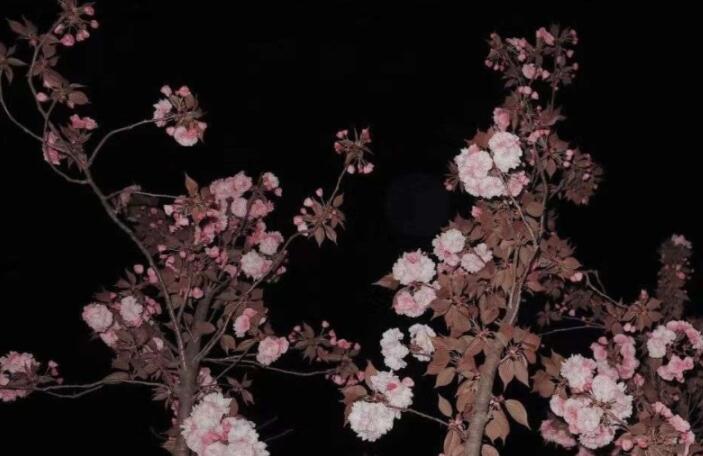 简单干净的八个字句子文案