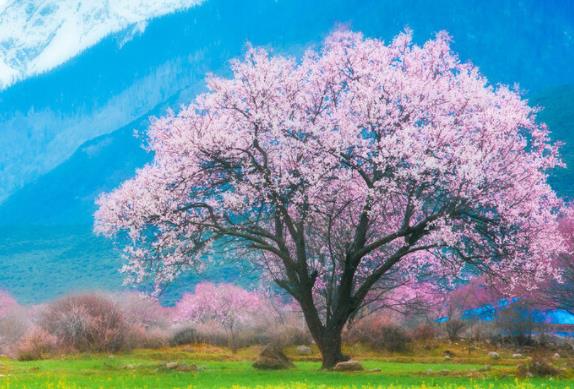 立春发朋友圈的说说文案