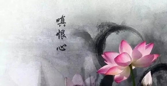 吃亏记住教训的句子文案