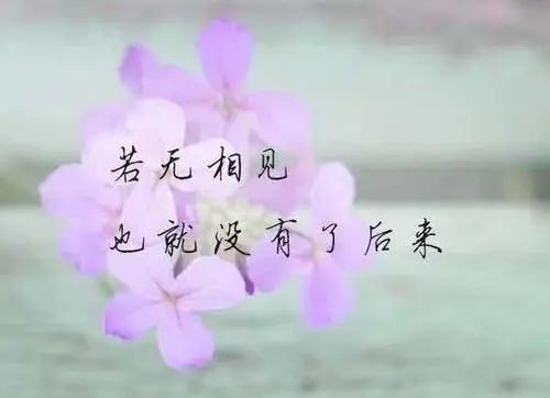 爱情语录文案短句心酸图片