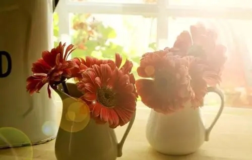 暖心的短句发朋友圈