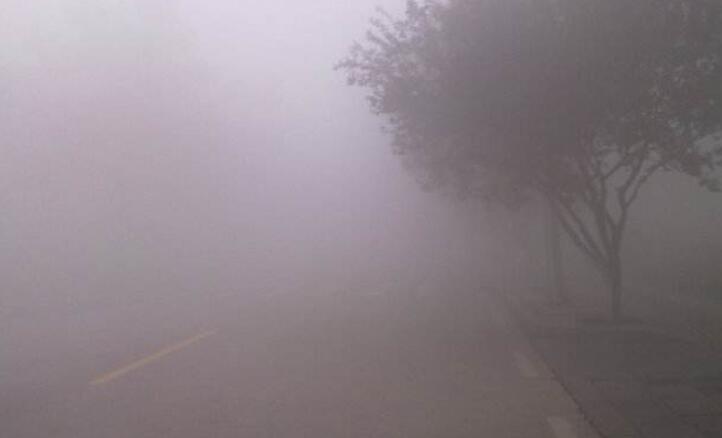 跟雾有关的句子文案