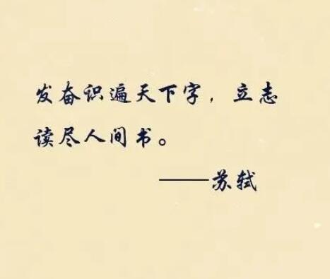 关于书的名言警句