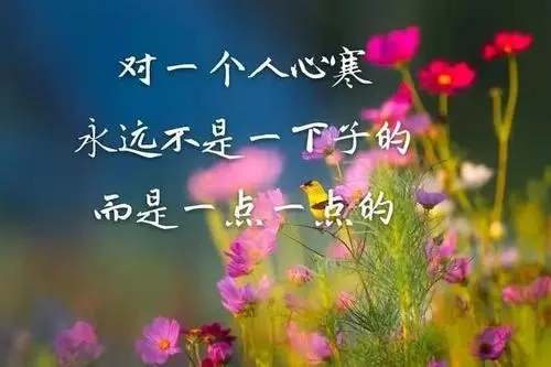 永远都是一个人的句子文案