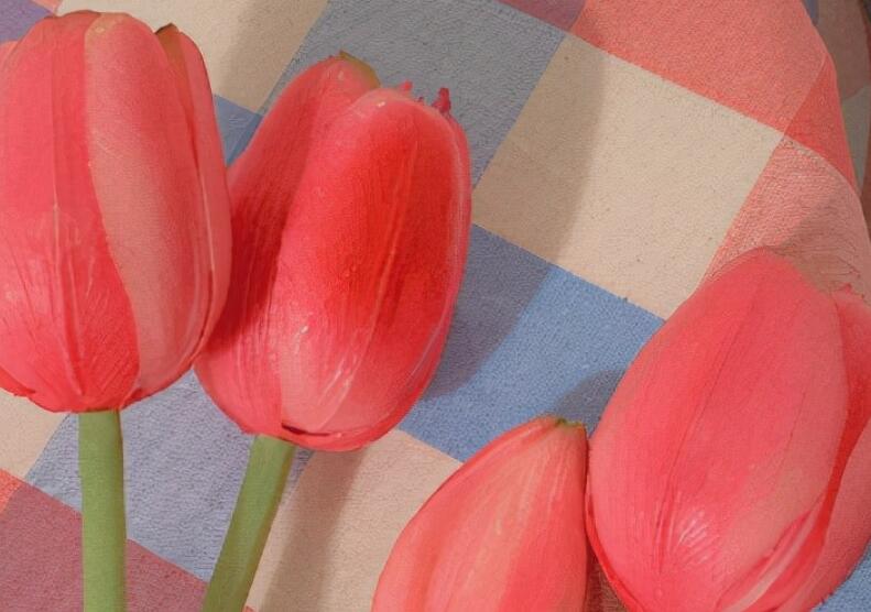 赞美的经典语句文案大全