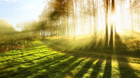 100个好词好句文案