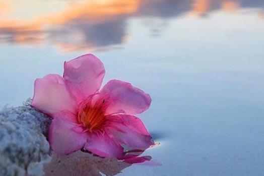 关于描写清晨的优美句子文案