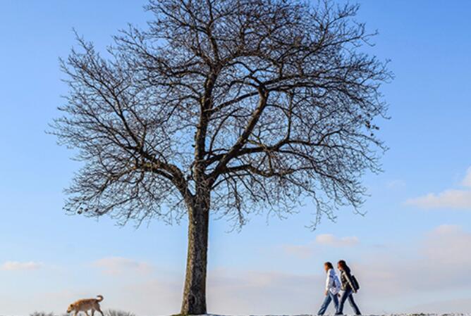 社会说说文案现实