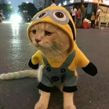 适合发自己照片的句子文案