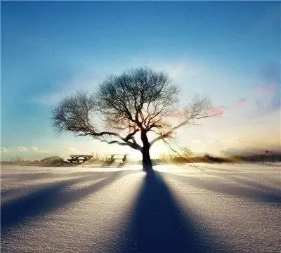 成熟稳重的说说文案短句