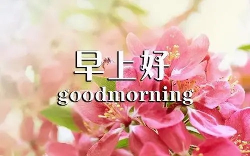 对爱人说早安的情话文案