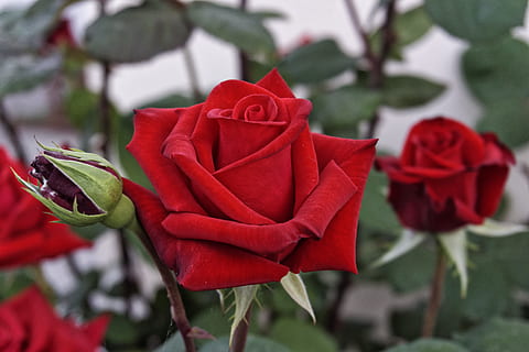 太爱一个人的说说句子文案