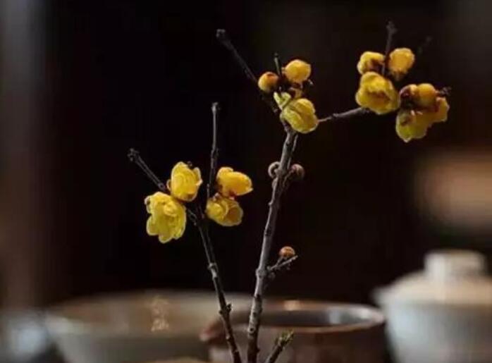 希望一切平安短句