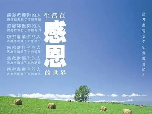感激的句子文案