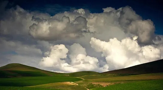 微商朋友圈发鸡汤