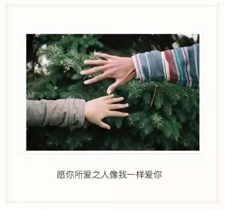 关于友情的优美句子文案100字