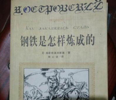 钢铁是怎样炼成的好段