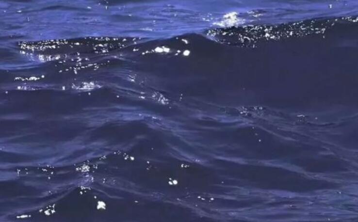 海边好心情的句子文案发朋友圈