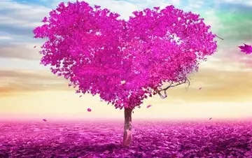 沉默的说说文案