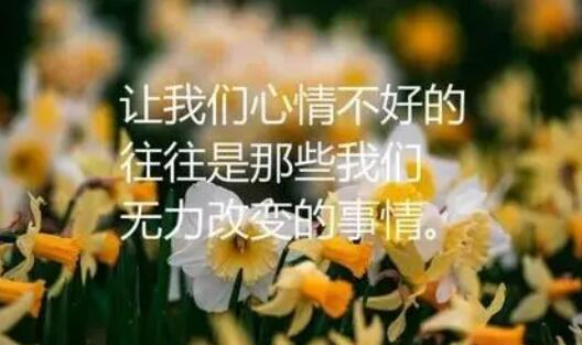 表达幸福的朋友圈句子文案