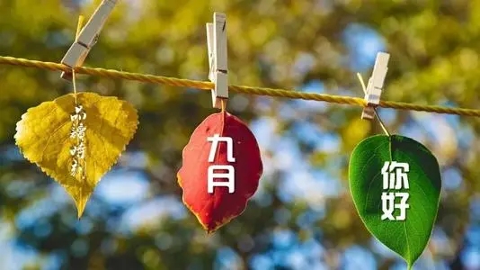 8月再见九月你好一些语录文案