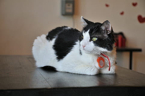 那些经历现实的短句