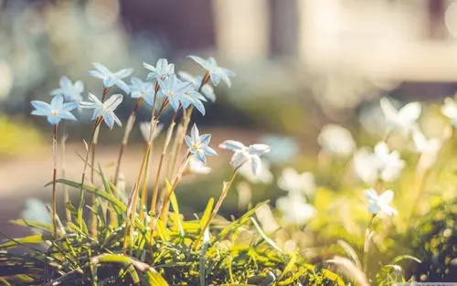 最美心情说说句子文案