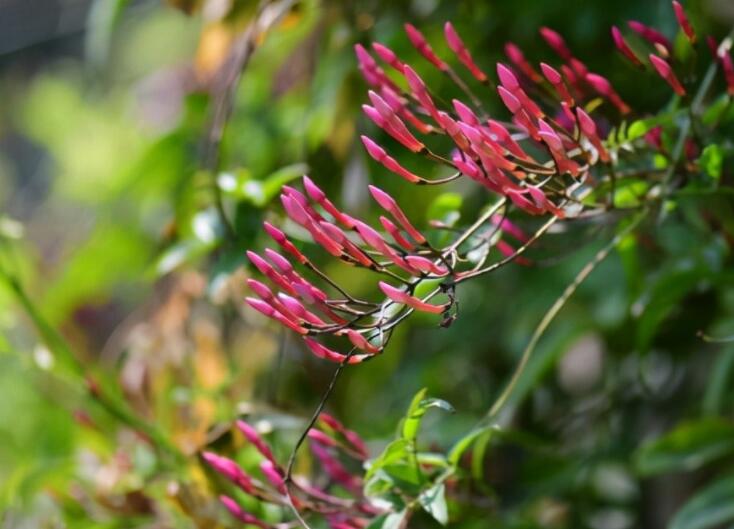 渣女说说文案大全短句