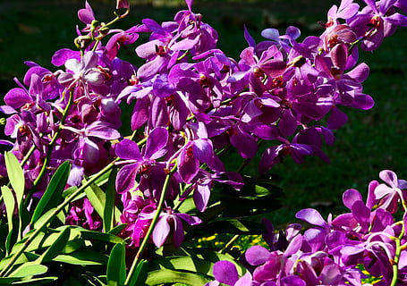 每天早上问候语