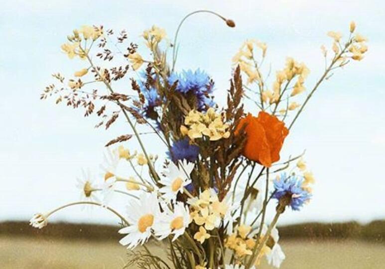 心疼关心一个人的句子文案