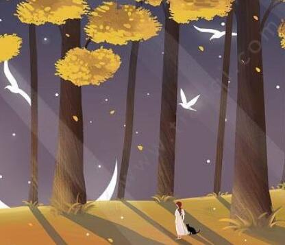 人物描写摘抄大全