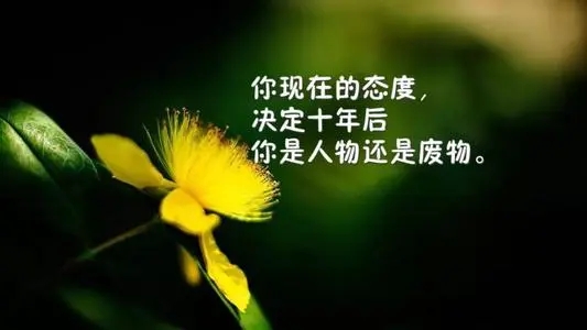 人生哲理经典句子文案正能量励志