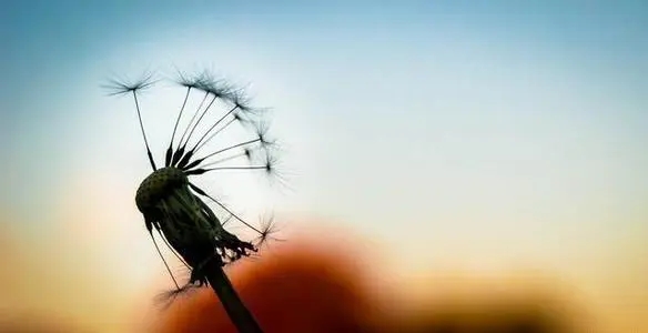 打工的人生感悟