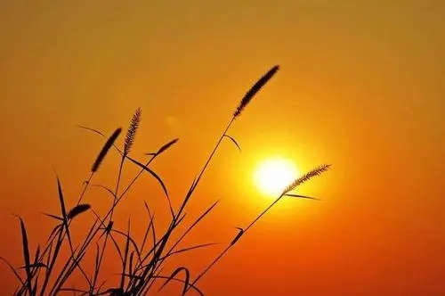 吹着晚风散步说说文案