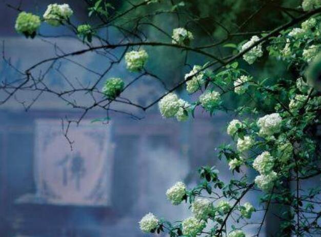 坏人和好人的感慨语句文案