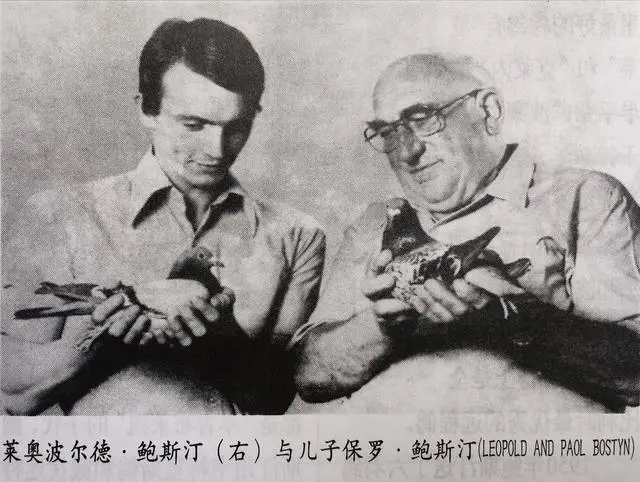 比利时名句文案