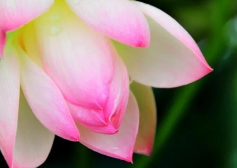 2024最新的早安的朋友圈说说文案